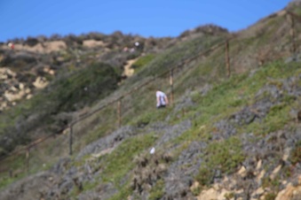Enlarge photo 30
