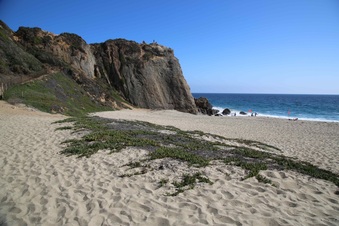 Enlarge photo 39