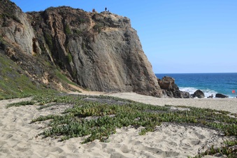 Enlarge photo 40