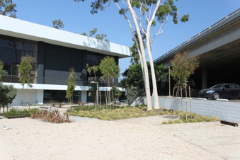 Enlarge photo 11