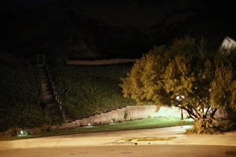 Enlarge photo 11