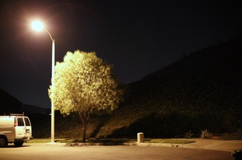 Enlarge photo 13