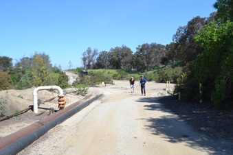 Enlarge photo 188