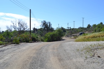 Enlarge photo 195