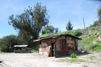 Enlarge photo 6