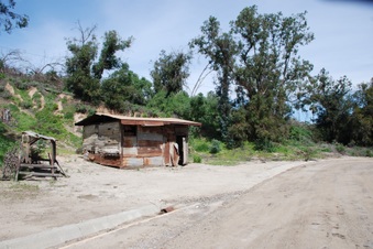 Enlarge photo 7