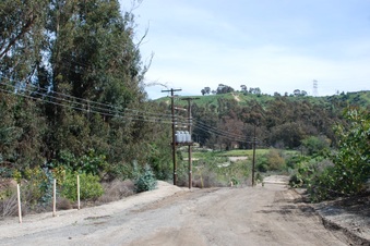 Enlarge photo 13