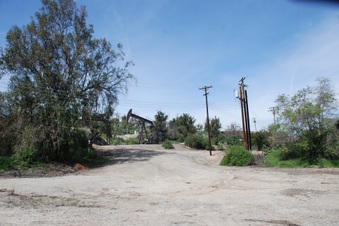 Enlarge photo 22