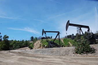 Enlarge photo 19