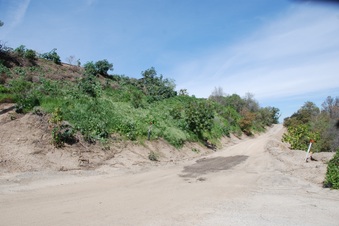 Enlarge photo 28