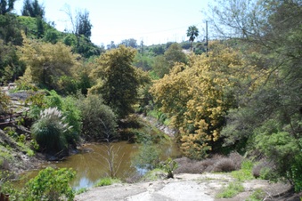 Enlarge photo 31