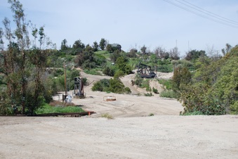 Enlarge photo 32