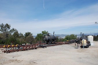 Enlarge photo 41