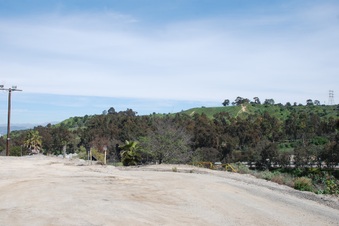 Enlarge photo 42