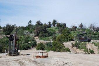 Enlarge photo 44
