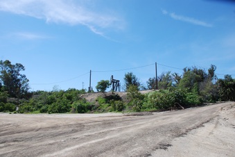 Enlarge photo 56