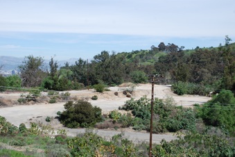 Enlarge photo 53