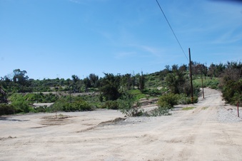 Enlarge photo 62