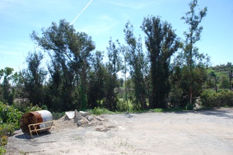Enlarge photo 63