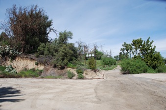 Enlarge photo 81