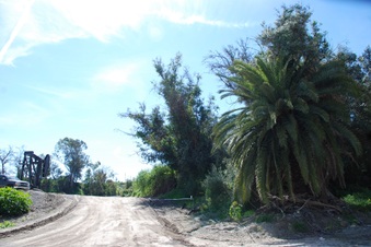 Enlarge photo 82