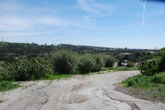 Enlarge photo 84