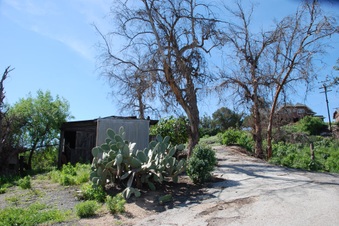 Enlarge photo 83