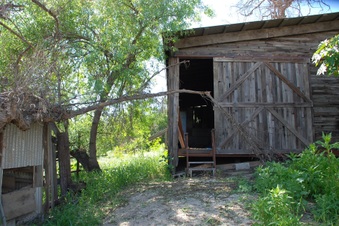 Enlarge photo 86