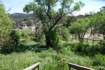 Enlarge photo 88