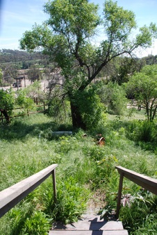Enlarge photo 89