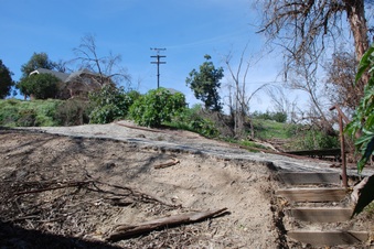 Enlarge photo 91