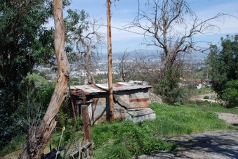 Enlarge photo 92