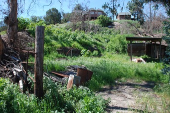 Enlarge photo 93