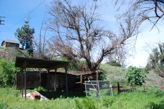 Enlarge photo 94