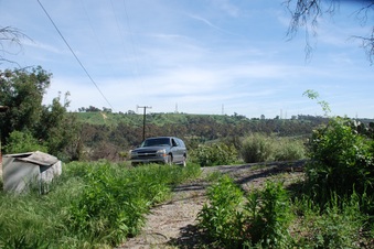 Enlarge photo 95