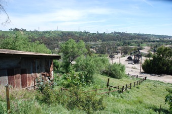 Enlarge photo 98