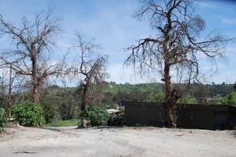 Enlarge photo 99