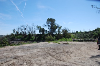 Enlarge photo 103