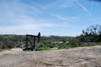 Enlarge photo 109