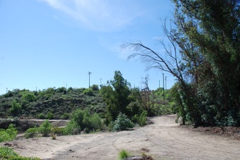Enlarge photo 113