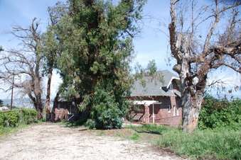 Enlarge photo 119