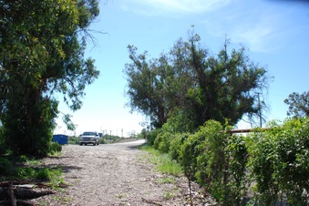 Enlarge photo 123