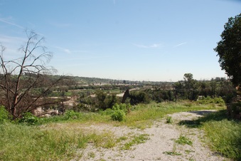 Enlarge photo 156