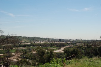 Enlarge photo 157