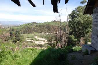 Enlarge photo 175