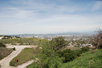 Enlarge photo 122