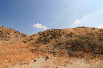 Enlarge photo 21