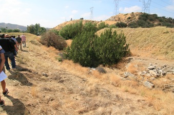 Enlarge photo 30
