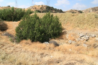 Enlarge photo 31