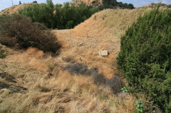 Enlarge photo 32